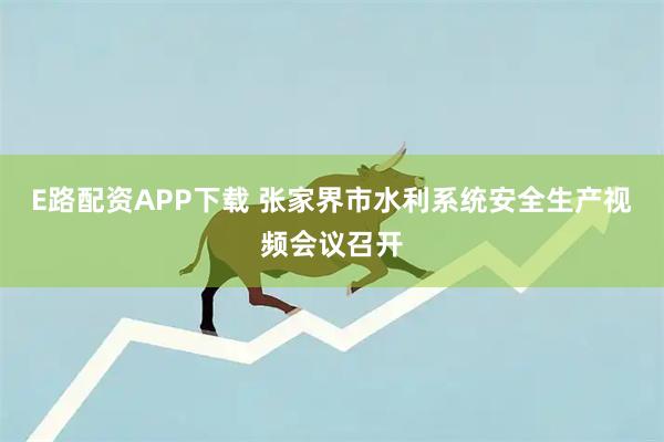 E路配资APP下载 张家界市水利系统安全生产视频会议召开